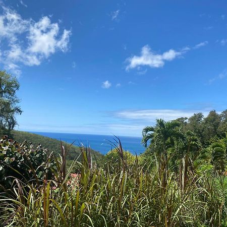 Le Domaine Du Rocher Noir Pointe-Noire Esterno foto