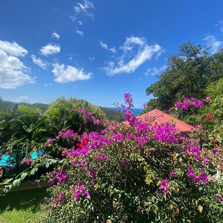 Le Domaine Du Rocher Noir Villa Pointe-Noire Esterno foto