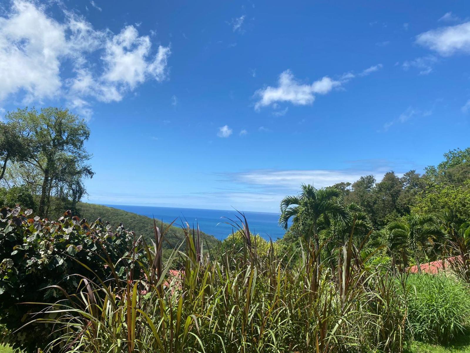 Le Domaine Du Rocher Noir Villa Pointe-Noire Esterno foto