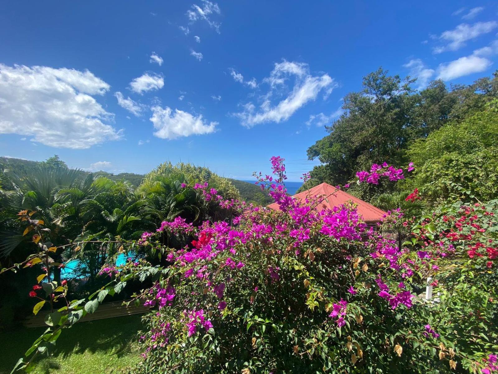 Le Domaine Du Rocher Noir Villa Pointe-Noire Esterno foto