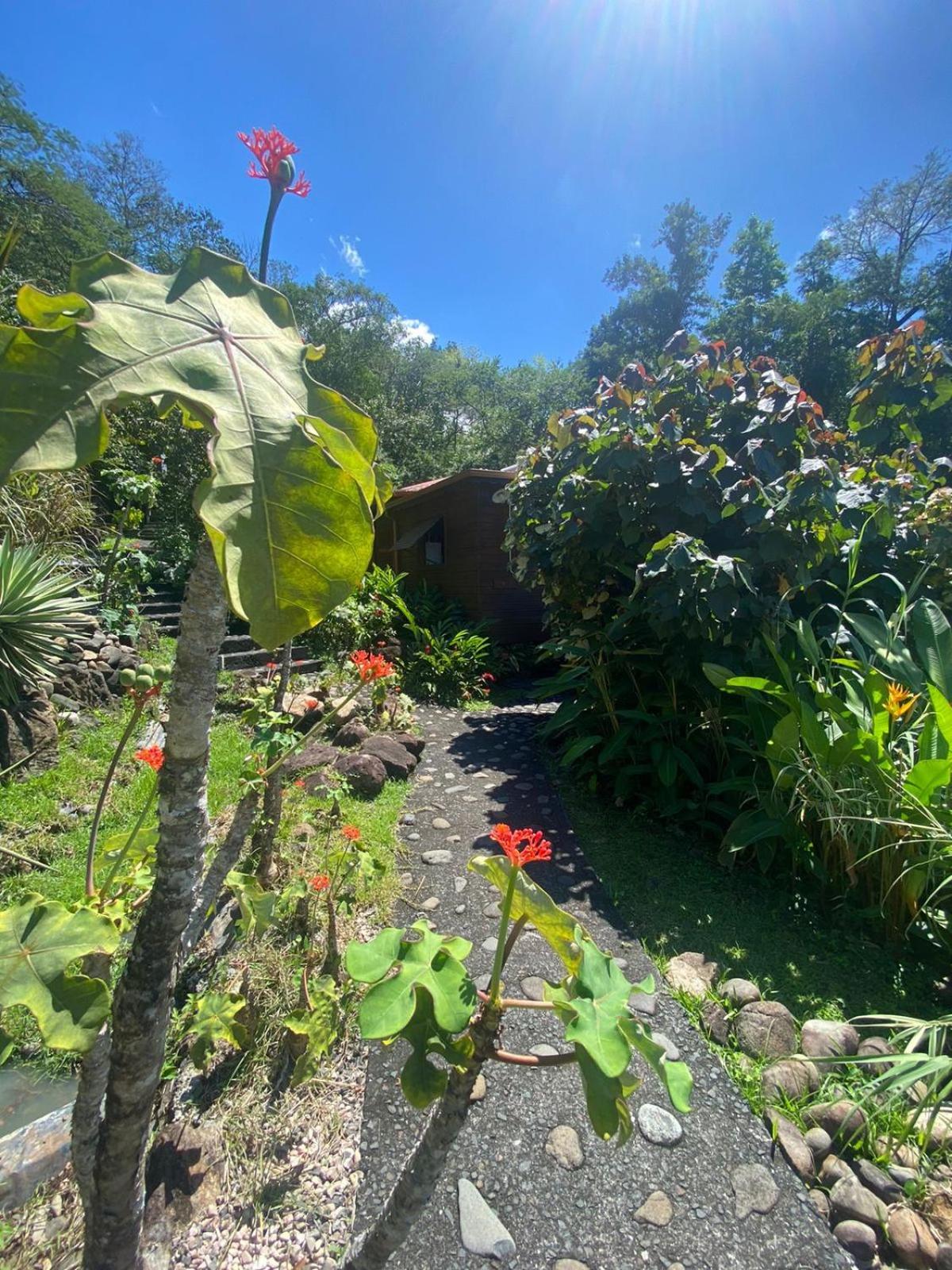 Le Domaine Du Rocher Noir Villa Pointe-Noire Esterno foto